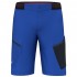 Pantaloni scurti trekking barbati Salewa Pedroc 3 Durastrech Cargo