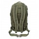 Rucsac modular Assault, 30 litri, multiple buzunare, compatibil sistem hidratare, verde MFH Rucsac modular Assault, 30 litri, multiple buzunare, compatibil sistem hidratare, verde MFH